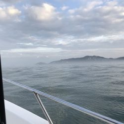 フィシングボートAir(エアー) 釣果