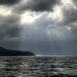 フィシングボートAir(エアー) 釣果