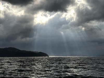 フィシングボートAir(エアー) 釣果