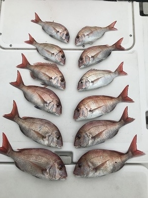 フィシングボートAir(エアー) 釣果