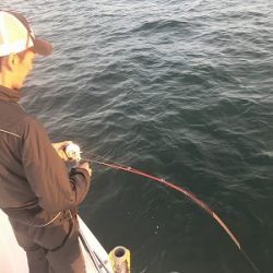 フィシングボートAir(エアー) 釣果