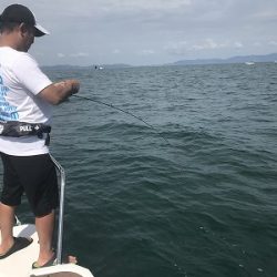 フィシングボートAir(エアー) 釣果