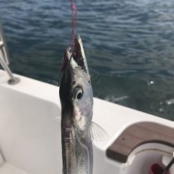 フィシングボートAir(エアー) 釣果