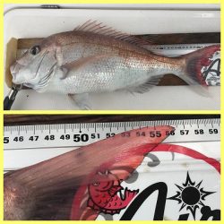 フィシングボートAir(エアー) 釣果