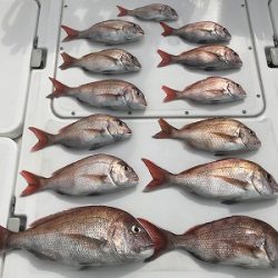 フィシングボートAir(エアー) 釣果