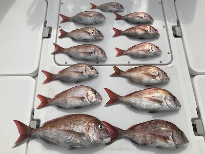 フィシングボートAir(エアー) 釣果