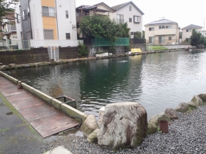 朝霞ガーデン 釣果