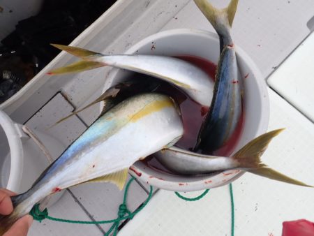 Aquanaut（アクアノート） 釣果