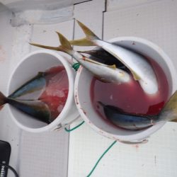 Aquanaut（アクアノート） 釣果