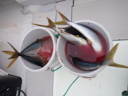 Aquanaut（アクアノート） 釣果