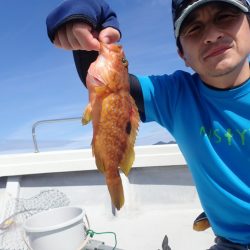 Aquanaut(アクアノート) 釣果