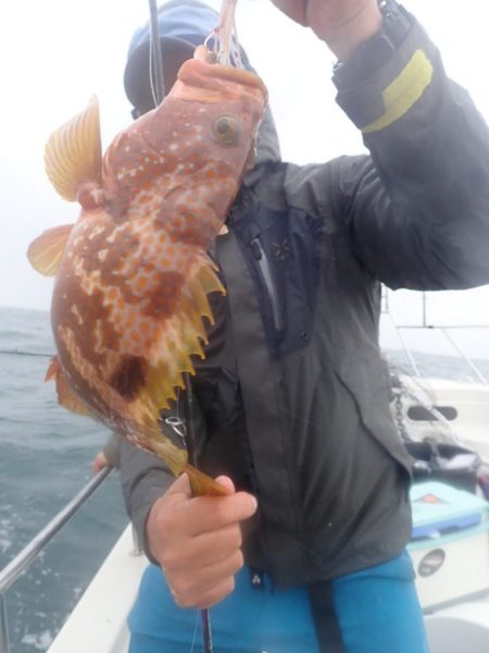 Aquanaut(アクアノート) 釣果