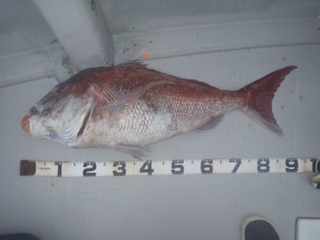 Aquanaut(アクアノート) 釣果