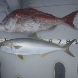 Aquanaut(アクアノート) 釣果