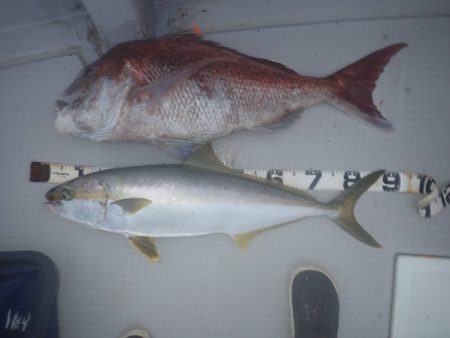 Aquanaut(アクアノート) 釣果