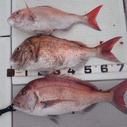 Aquanaut(アクアノート) 釣果