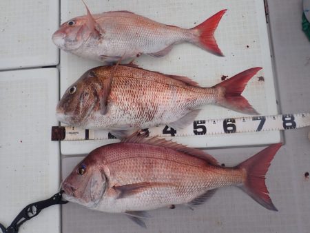 Aquanaut(アクアノート) 釣果