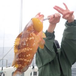 Aquanaut(アクアノート) 釣果