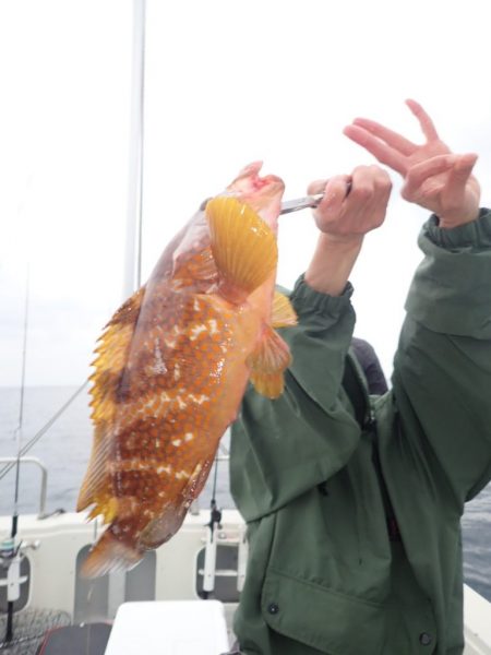 Aquanaut(アクアノート) 釣果