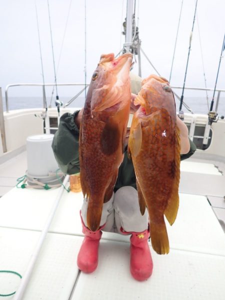 Aquanaut(アクアノート) 釣果