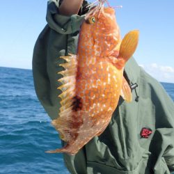 Aquanaut(アクアノート) 釣果