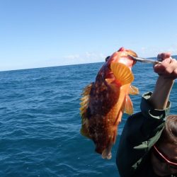 Aquanaut(アクアノート) 釣果