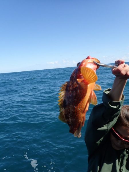 Aquanaut(アクアノート) 釣果