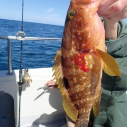 Aquanaut(アクアノート) 釣果