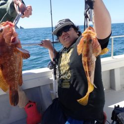 Aquanaut(アクアノート) 釣果