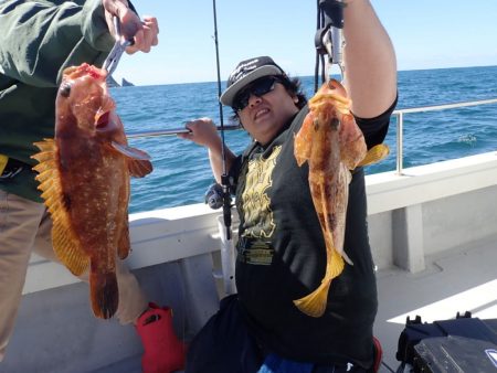 Aquanaut(アクアノート) 釣果