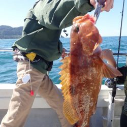 Aquanaut(アクアノート) 釣果