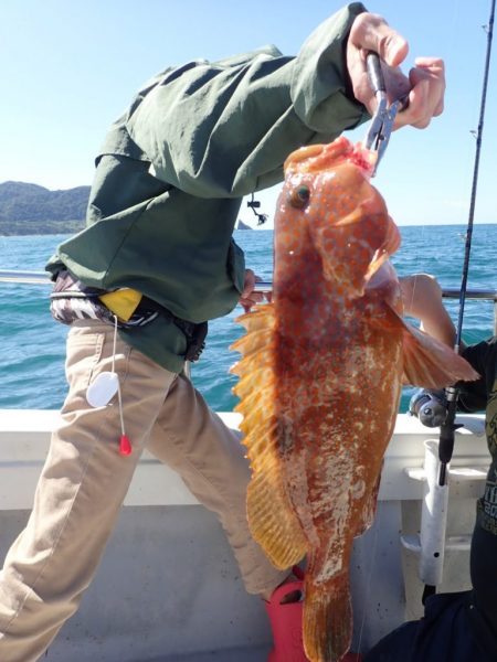 Aquanaut(アクアノート) 釣果