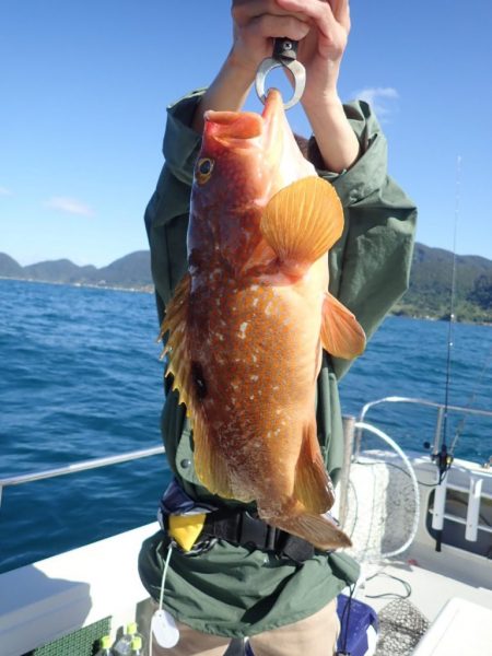 Aquanaut(アクアノート) 釣果