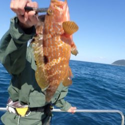 Aquanaut(アクアノート) 釣果