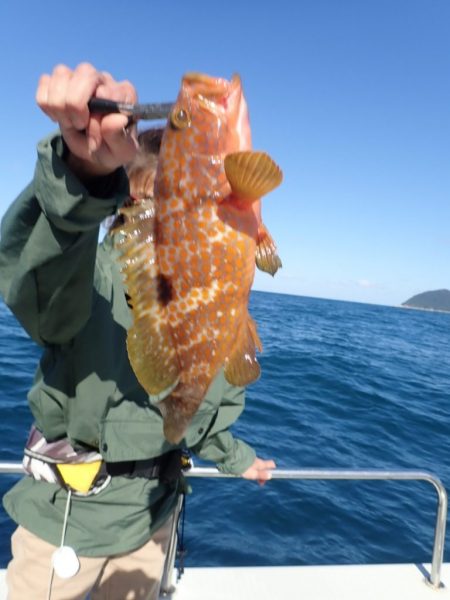 Aquanaut(アクアノート) 釣果