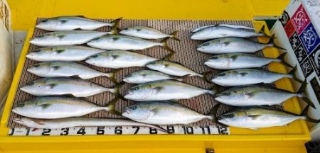 火遠理丸（ほおりまる） 釣果