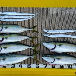 火遠理丸（ほおりまる） 釣果