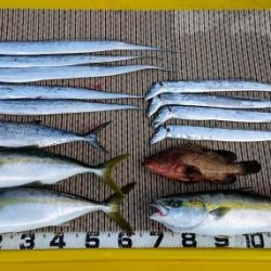 火遠理丸（ほおりまる） 釣果