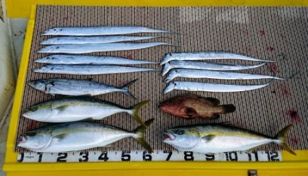 火遠理丸（ほおりまる） 釣果