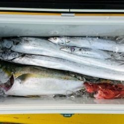 火遠理丸（ほおりまる） 釣果