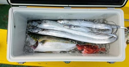 火遠理丸（ほおりまる） 釣果