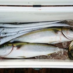 火遠理丸（ほおりまる） 釣果