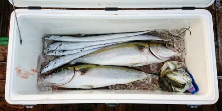 火遠理丸（ほおりまる） 釣果