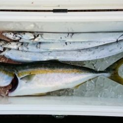 火遠理丸（ほおりまる） 釣果