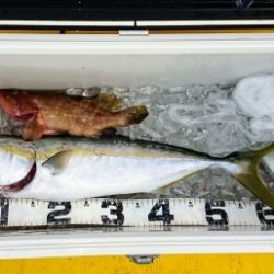 火遠理丸（ほおりまる） 釣果