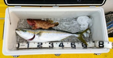 火遠理丸（ほおりまる） 釣果