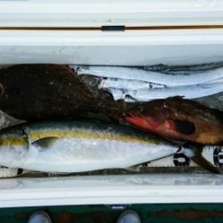 火遠理丸（ほおりまる） 釣果