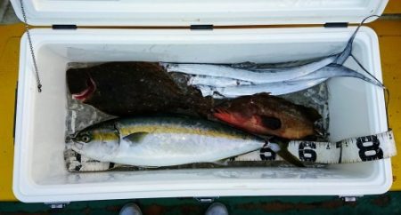 火遠理丸（ほおりまる） 釣果