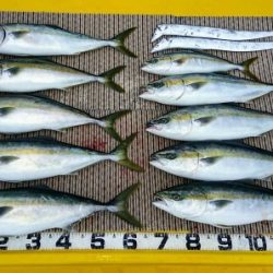 火遠理丸（ほおりまる） 釣果