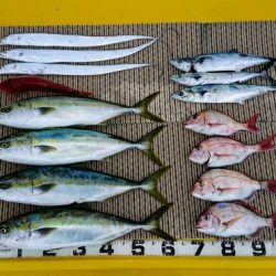 火遠理丸（ほおりまる） 釣果